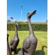 A duck family - group of bronze ducks - runner ducks - Bronze garden sculptures - bronze geese - pond decoration