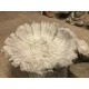 Stunning Stone Tree Stump Garden Bird Bath